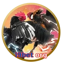 i9bet org
