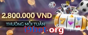 i9bet org