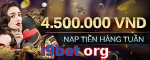 i9bet org