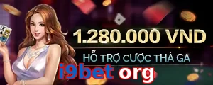 i9bet org